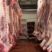 Euroganaderos – Ternera Carne 19