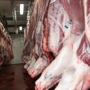 Euroganaderos – Ternera Carne 12