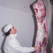 Euroganaderos – Ternera Carne 29