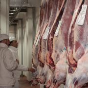 Euroganaderos – Ternera Carne 27