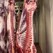 Euroganaderos – Ternera Carne 24