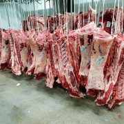 Euroganaderos – Carne lomos de ternera de primera