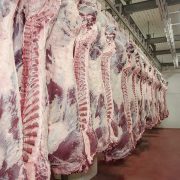 Euroganaderos – Ternera Carne 33