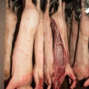 Euroganaderos – Carne de cerdo – Medias Canales