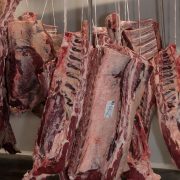 Euroganaderos – Ternera Carne 38